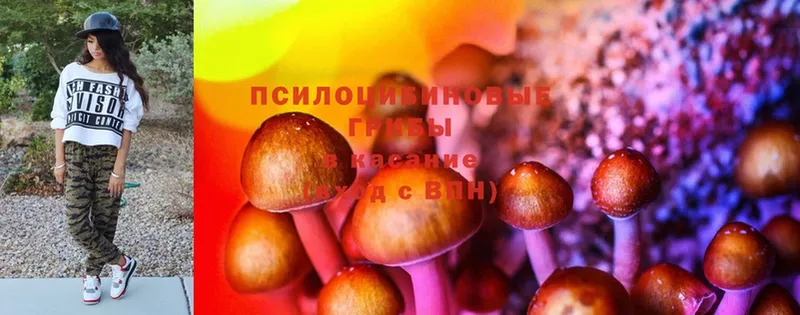 Галлюциногенные грибы MAGIC MUSHROOMS  Алексеевка 